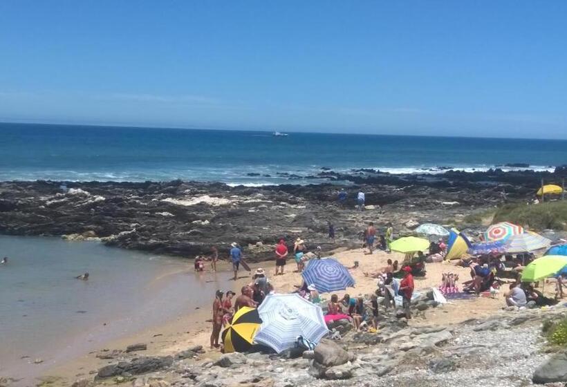 غرفة قياسية, Sea Otters Lodge