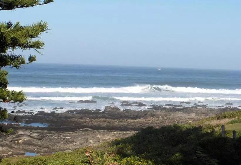 スタンダードルーム, Sea Otters Lodge