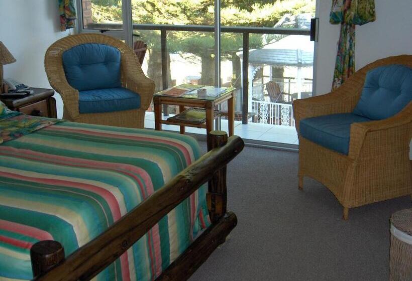 غرفة قياسية مطلّة علي البحر, Sea Otters Lodge