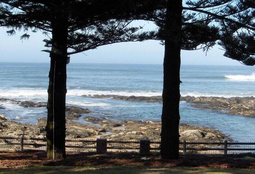 غرفة قياسية سرير كينج, Sea Otters Lodge