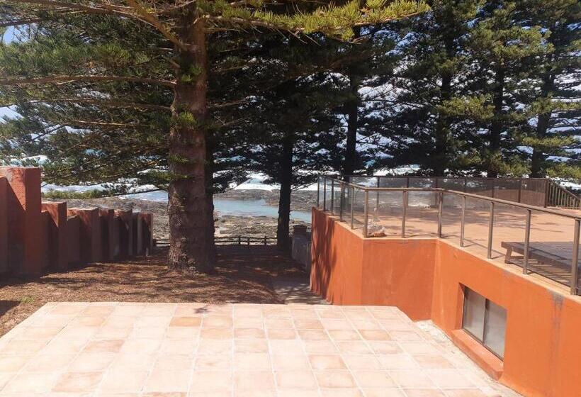 غرفة قياسية سرير كينج, Sea Otters Lodge