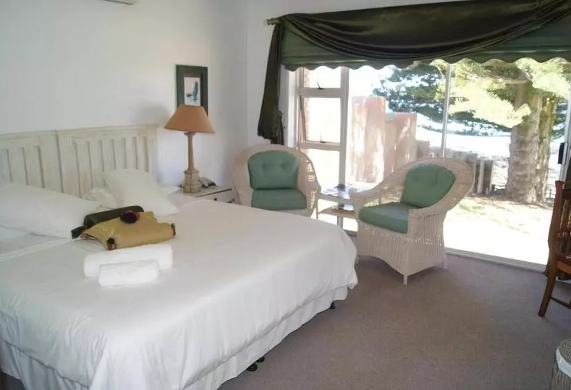 キングサイズベッドのスタンダードルーム, Sea Otters Lodge