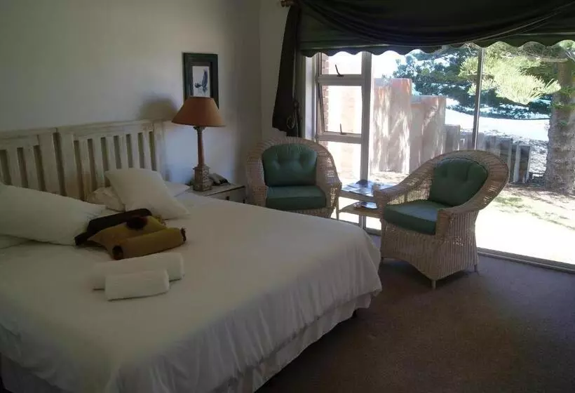 スタンダードルーム, Sea Otters Lodge