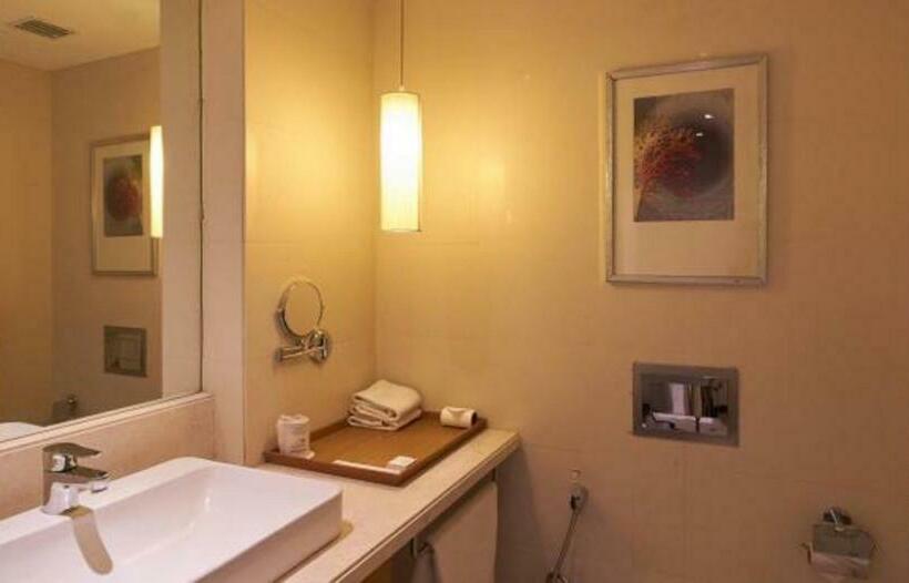 豪华房间, Platinum