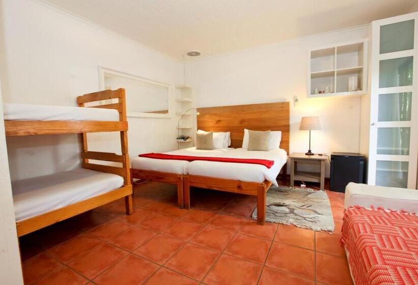 Номер Стандарт, Roof Of Africa