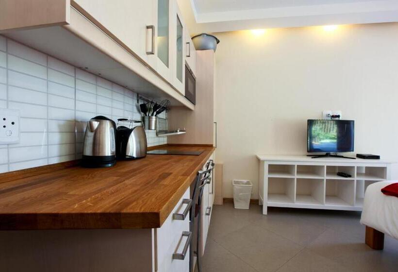 Студия Стандарт, Roof Of Africa