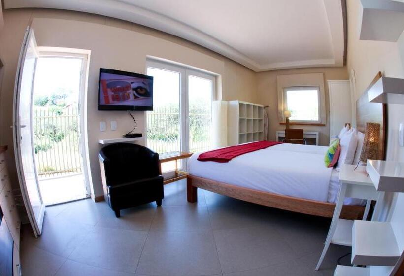 Студия Стандарт, Roof Of Africa