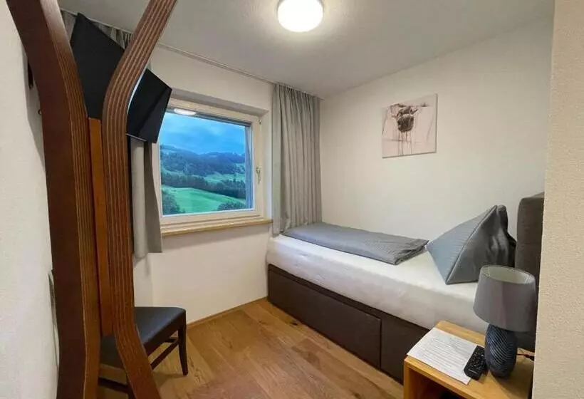 Standard Yhden Hengen Huone, Panoramahotel Sonnhalde