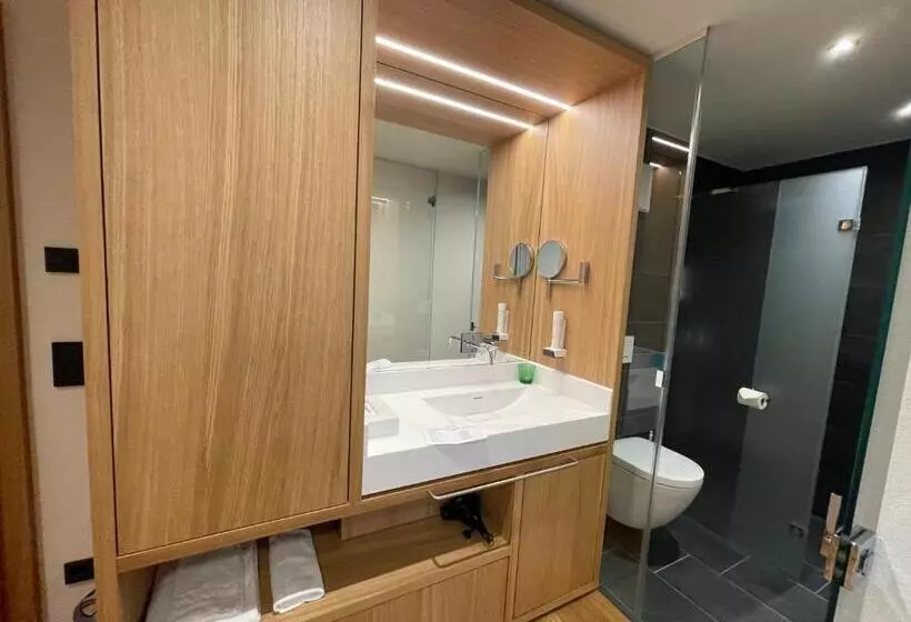 Standard Yhden Hengen Huone, Panoramahotel Sonnhalde