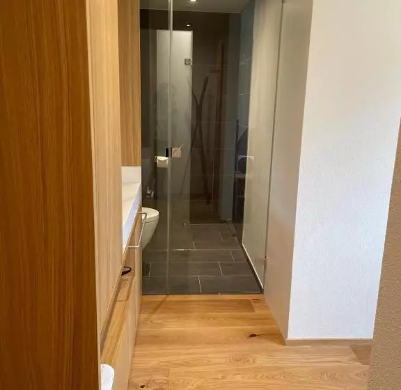 Standard Yhden Hengen Huone, Panoramahotel Sonnhalde