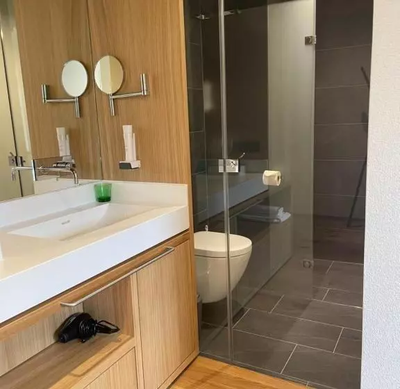 Standard Yhden Hengen Huone, Panoramahotel Sonnhalde