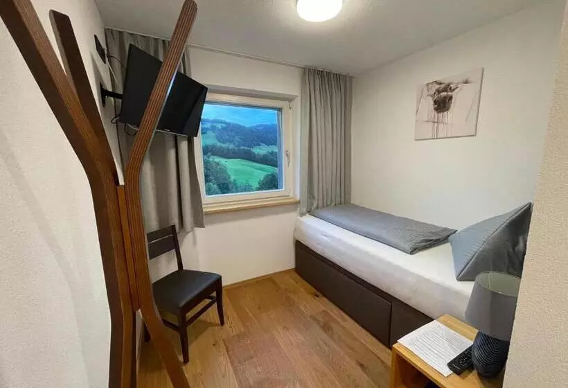 Standard Yhden Hengen Huone, Panoramahotel Sonnhalde