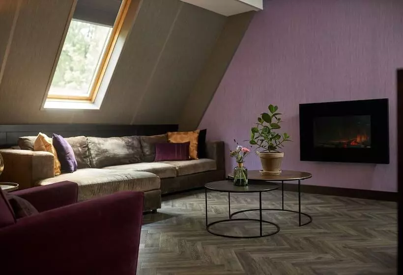 اتاق استاندارد, Van Der Valk Hotel Arnhem
