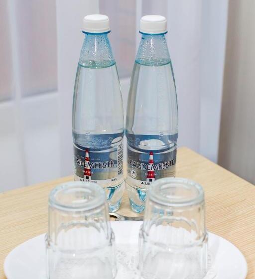 اتاق استاندارد, Lepanina Hotell