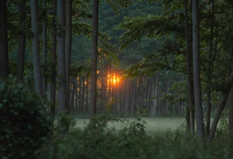 بانگلوی استاندارد, Lepanina Hotell