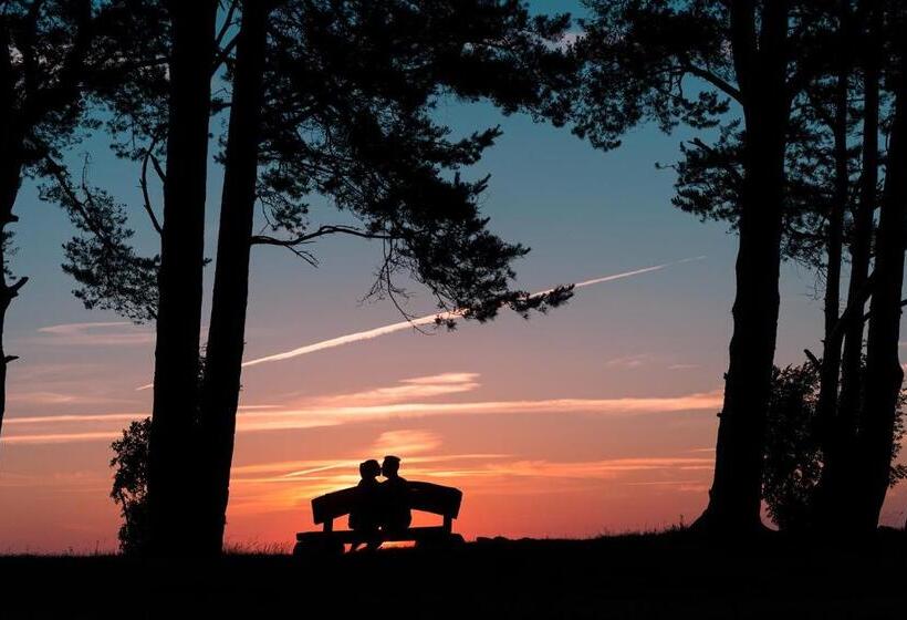 بانگلوی استاندارد, Lepanina Hotell