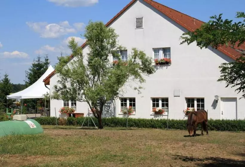 コンフォートルーム, Pension Am Mühlberg