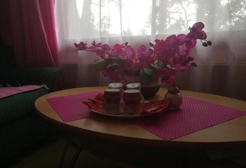 Номер Стандарт, Villa Vanessa