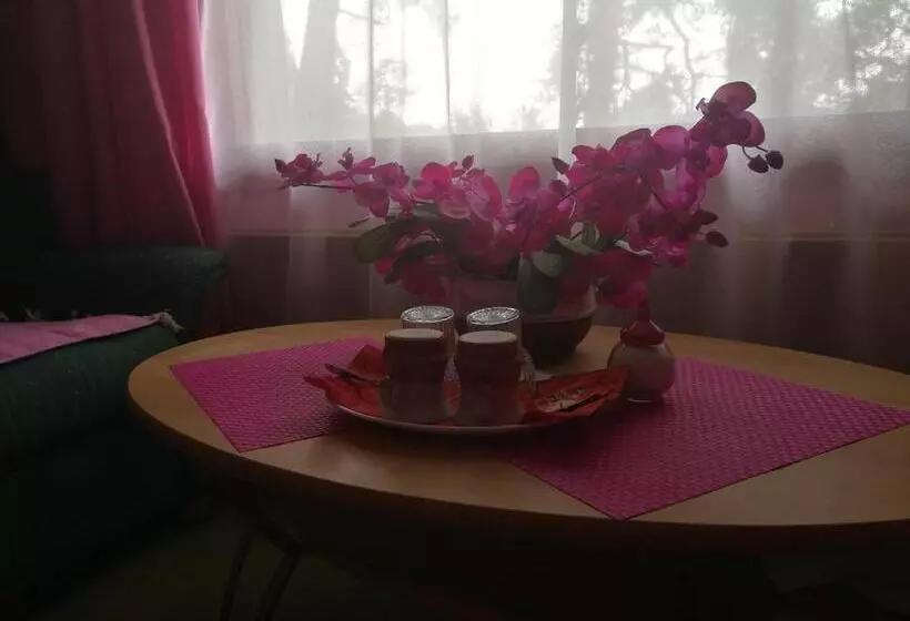 スタンダードルーム, Villa Vanessa