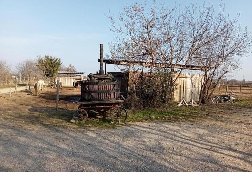 스탠다드 룸, Le Mas Palegry Chambres D Hôtes Perpignan