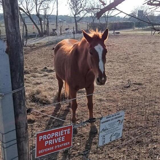 스위트, Le Mas Palegry Chambres D Hôtes Perpignan