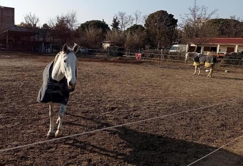 스위트, Le Mas Palegry Chambres D Hôtes Perpignan