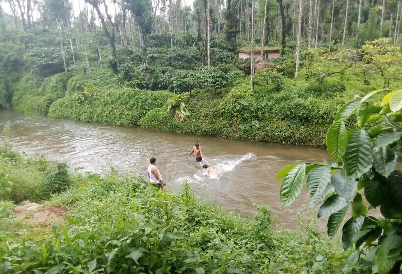 Standardrum, River View Guest Rooms