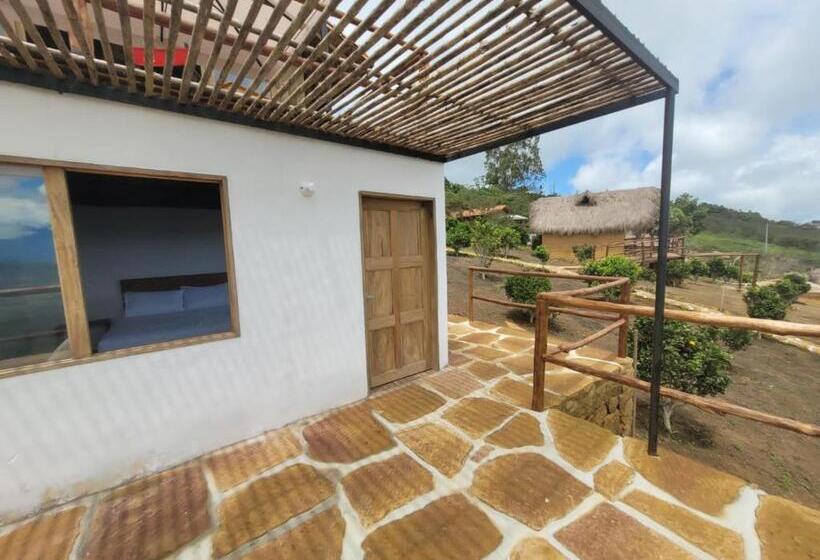 스탠다드 테라스 룸, Cariguá