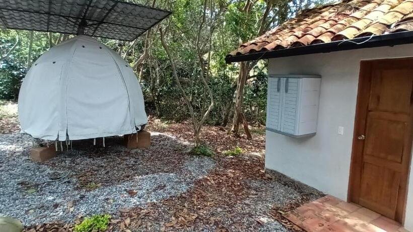 Standard Tent, Cariguá
