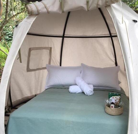 Standard Tent, Cariguá