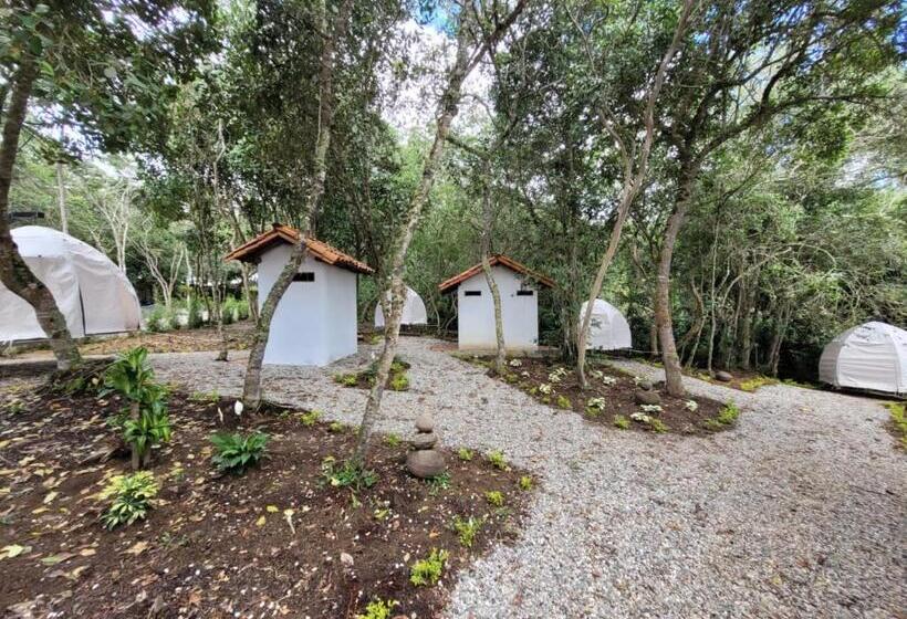 Standard Tent, Cariguá