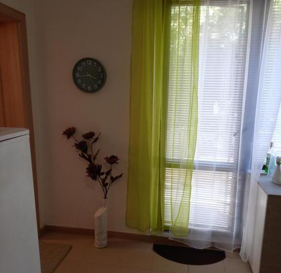 اتاق استاندارد, венета 1