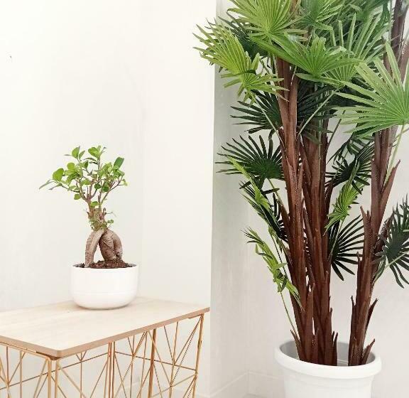 带阳台的豪华间, Home Sicily