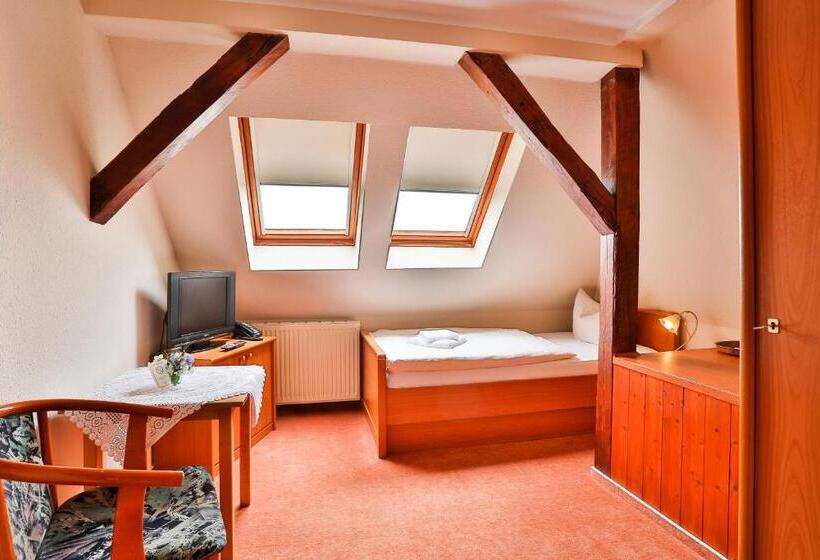 غرفة إقتصادية فردية, & Pension Villa Camenz