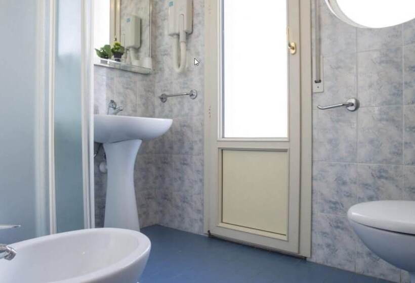 Camera Standard, Boston