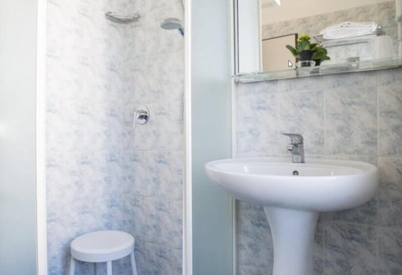 Camera Standard, Boston