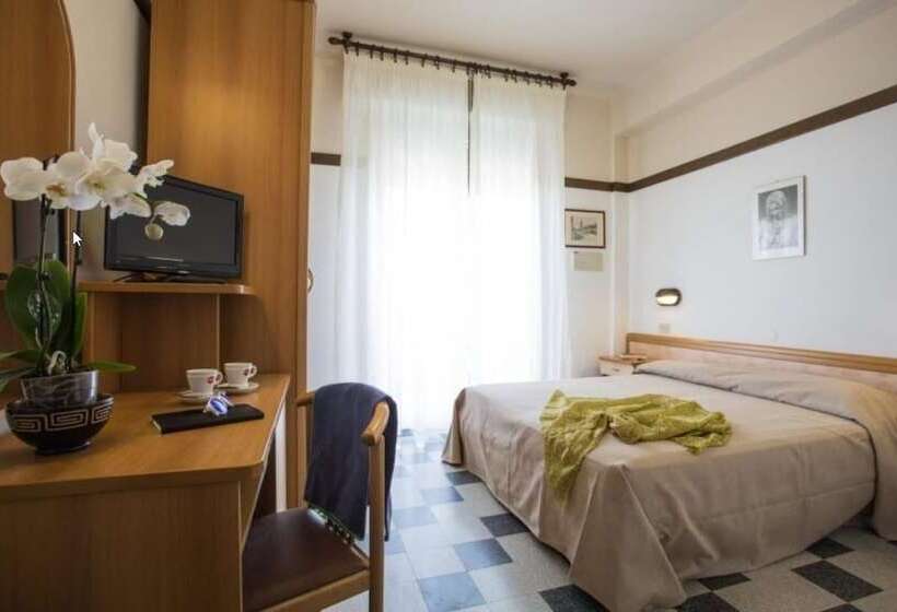 Camera Standard, Boston