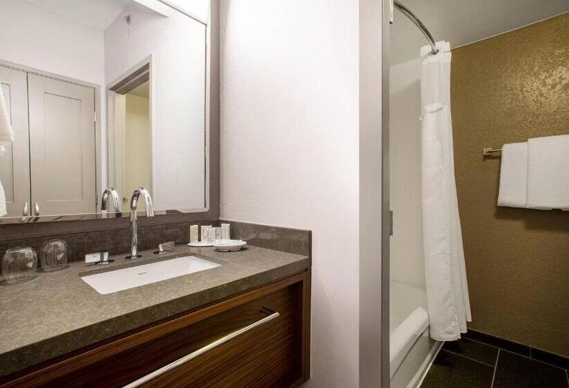 장애인을 위한 킹사이즈 침대 스탠다드 룸, Courtyard Orlando Altamonte Springs Maitland