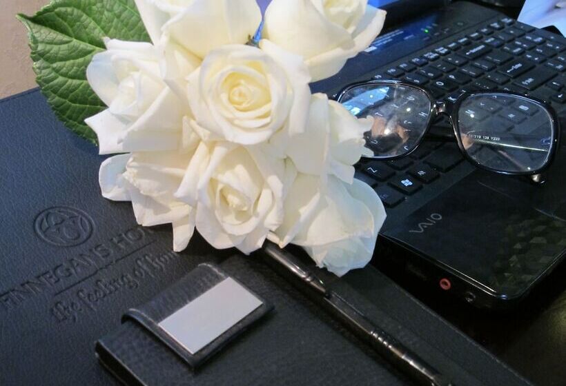 اتاق استاندارد یک نفره, Finnegans