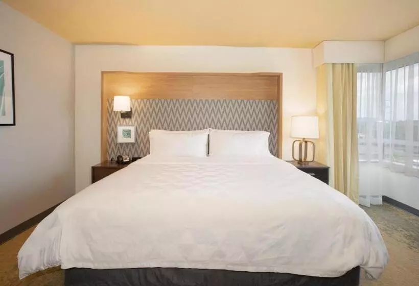 اتاق استاندارد با تخت بزرگ, Holiday Inn Winchester Southeast Historic Gateway, An Ihg