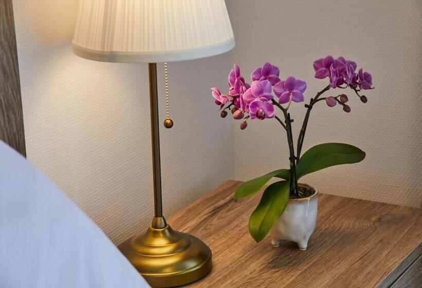 컴포트 룸, Lothringer Hof