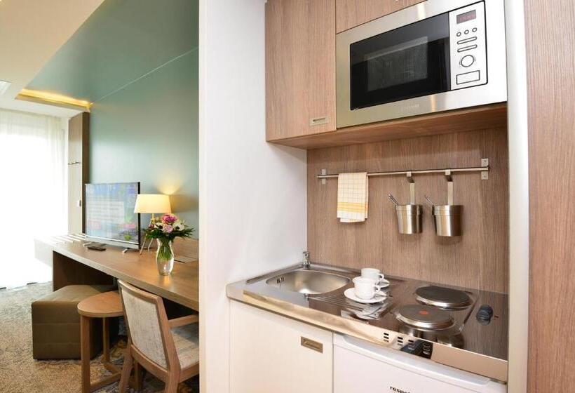 آپارتمان پریمیوم 1 خوابه, Parkhotel Residenz