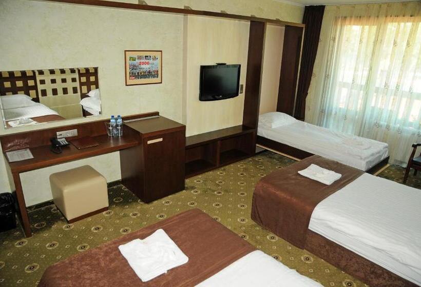 اتاق استاندارد, Park Hotel Izida