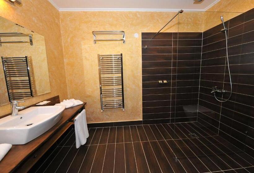اتاق استاندارد, Park Hotel Izida
