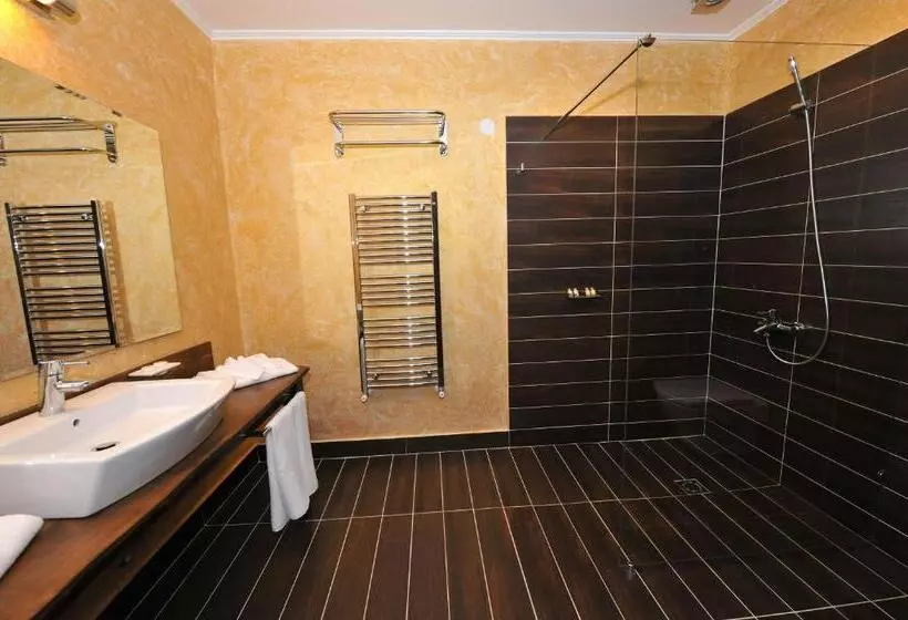 اتاق استاندارد, Park Hotel Izida