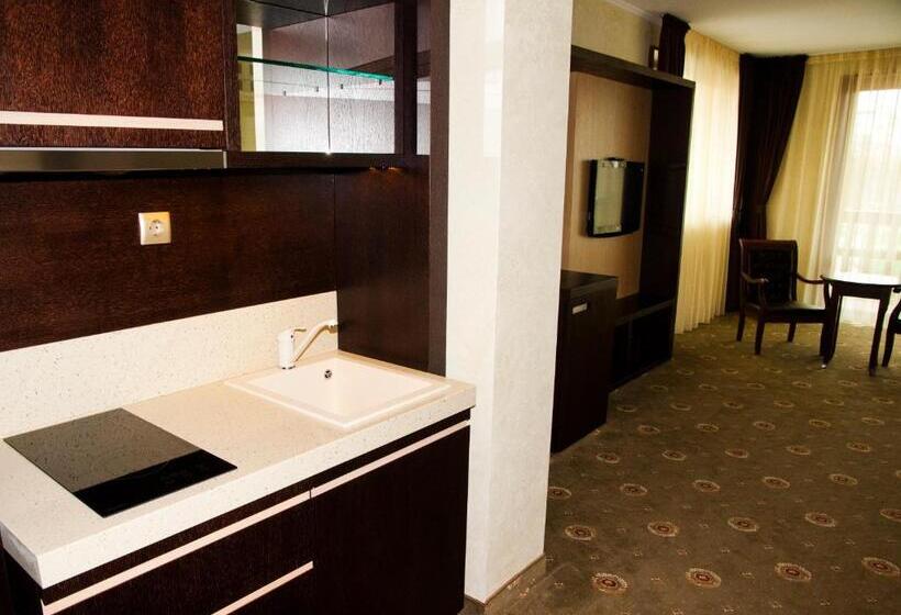 اتاق استاندارد, Park Hotel Izida