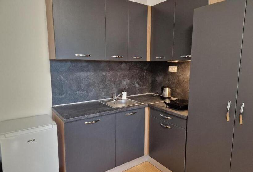 استودیوی استاندارد با چشم‌انداز دریا, Zlaten Bryag