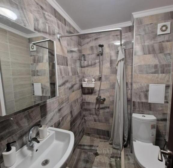 استودیوی استاندارد, Zlaten Bryag