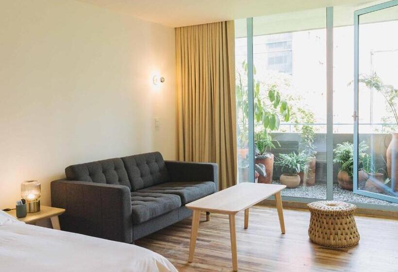 스탠다드 발코니 스튜디오, Xolo Stays