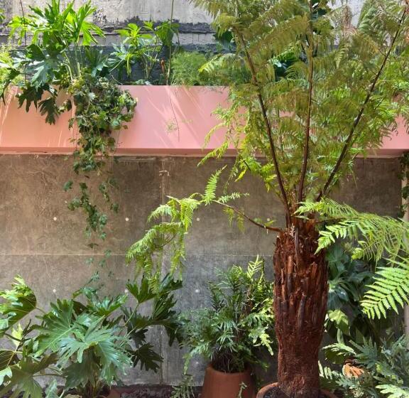 스탠다드 룸 킹사이즈 침대, Xolo Stays